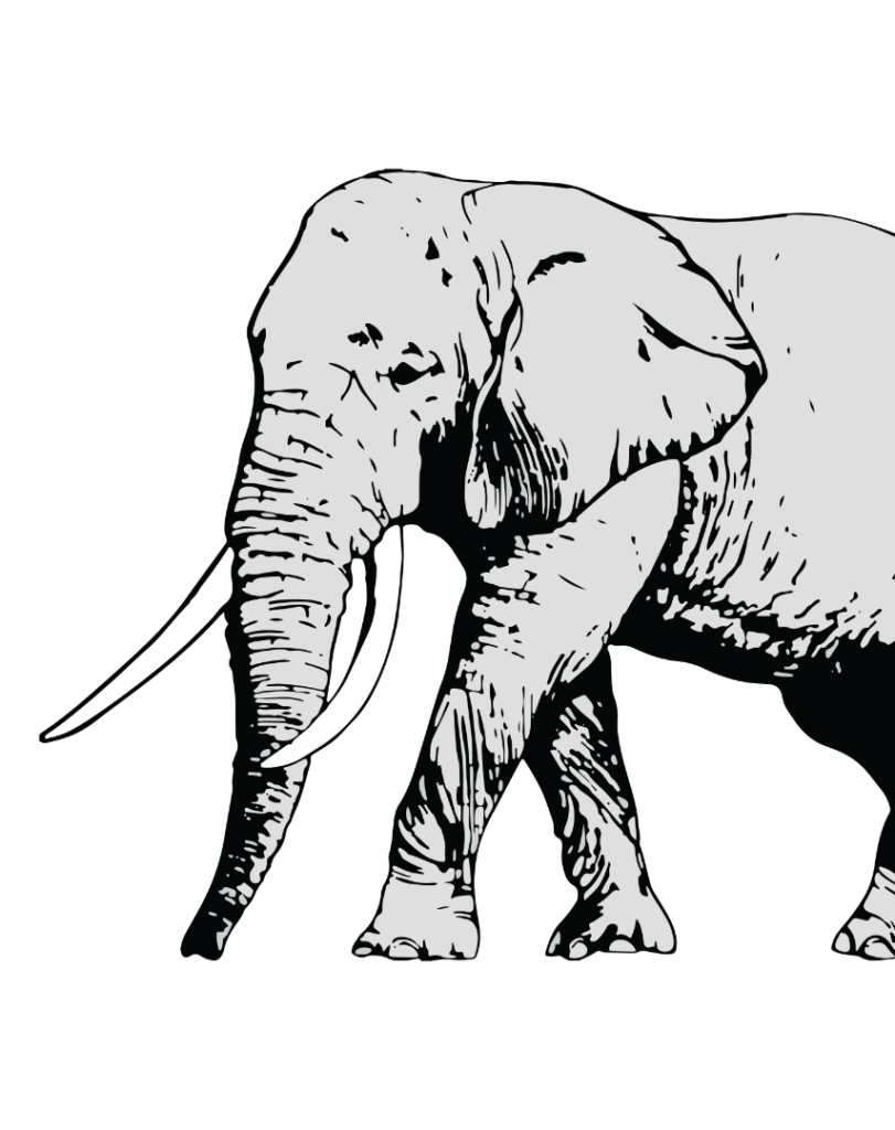 elephant-kids in the wild