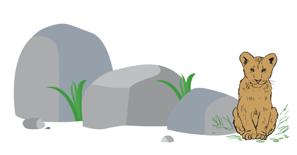 stepping stones